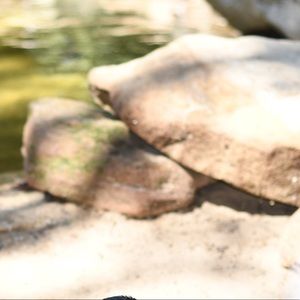 Meet your Posher, Narmina